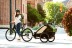 Thule Chariot CAB 2